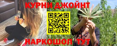 мдпв Можга