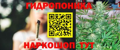 мдпв Можга